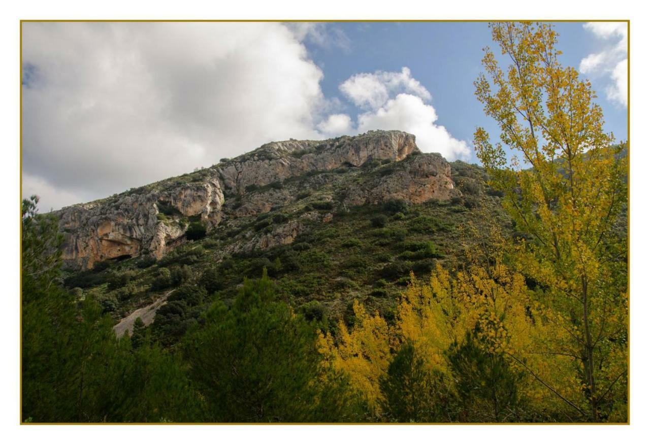 Appartement Apartamento El Benicadell à Adzaneta de Albaida Extérieur photo